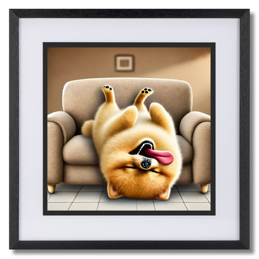 Passed Out Pomeranian