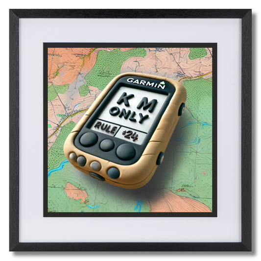 Rule #24 Speeds and distances shall be referred to and measured in kilometres